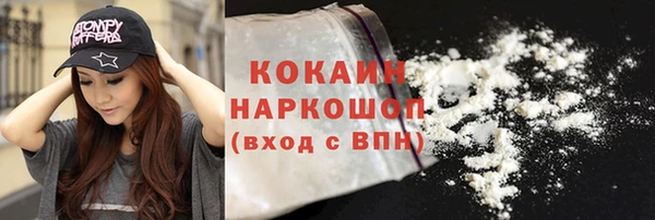 прущий лед Алзамай