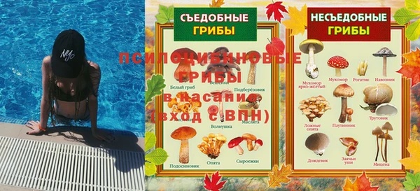 метадон Алексин