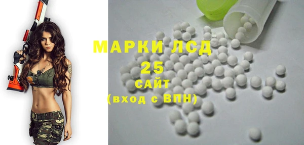 прущий лед Алзамай