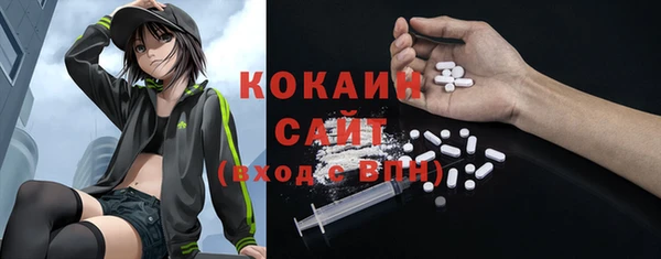 метадон Алексин