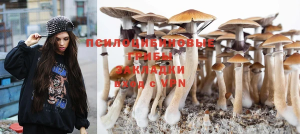 прущий лед Алзамай