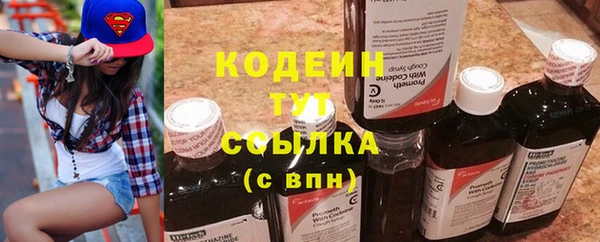 прущий лед Алзамай