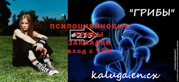 ECSTASY Алексеевка